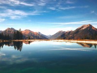 糖心vlog网页版最新地址怎么突然就变成讨论中心了这件事