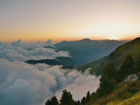 糖心vlog网页版最新地址怎么突然就变成讨论中心了这件事